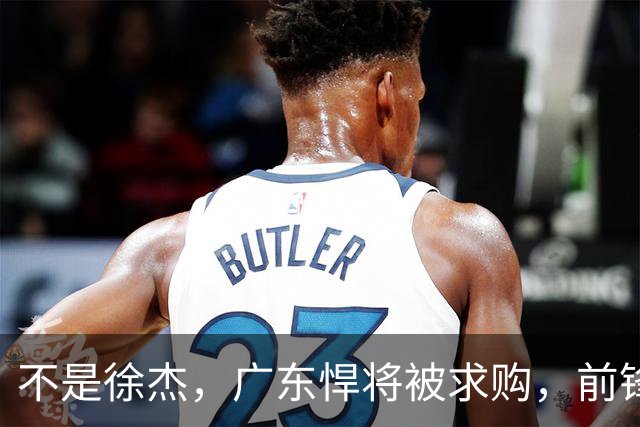 不是徐杰，广东悍将被求购，前锋，杜锋看重，转会费或8位数