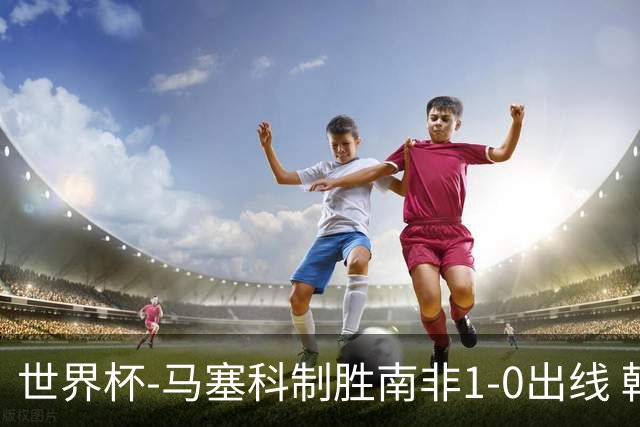 世界杯-马塞科制胜南非1-0出线 韩国积3分获小组第三待定