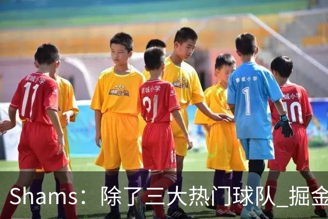 Shams：除了三大热门球队 掘金马刺尼克斯等队也有可能半路杀出